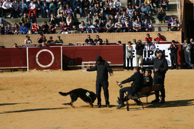 Fotoagrafía relacionada con la noticia, 