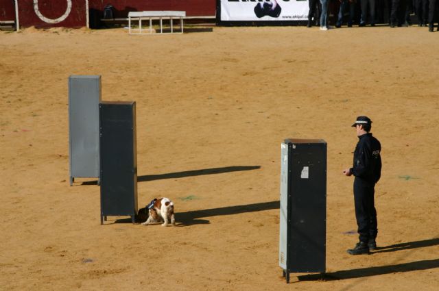 Fotoagrafía relacionada con la noticia, 