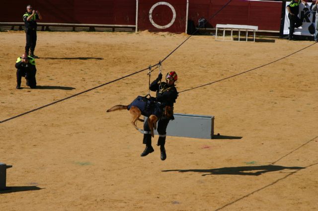 Fotoagrafía relacionada con la noticia, 