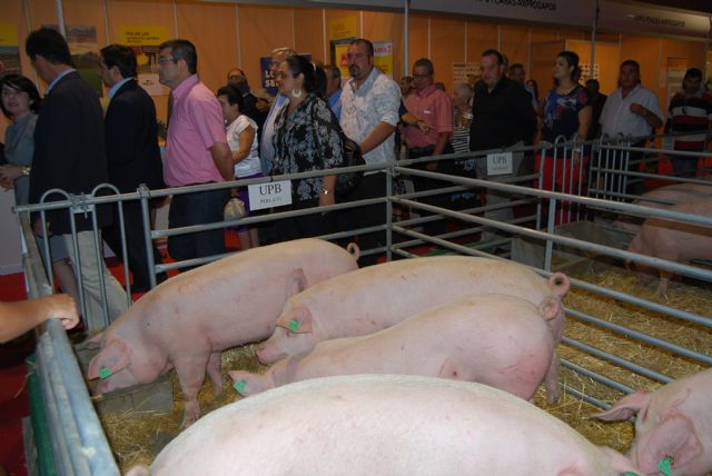 Fotoagrafía relacionada con la noticia, 