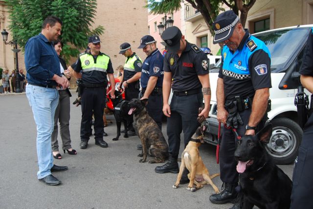 Fotoagrafía relacionada con la noticia, 