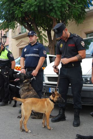 Fotoagrafía relacionada con la noticia, 