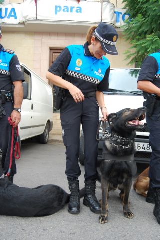 Fotoagrafía relacionada con la noticia, 