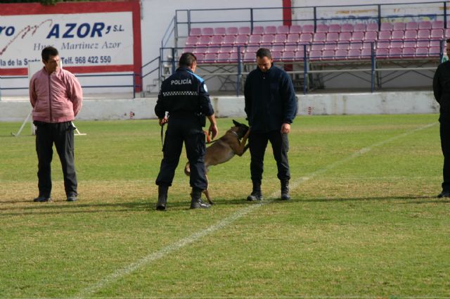 Fotoagrafía relacionada con la noticia, 