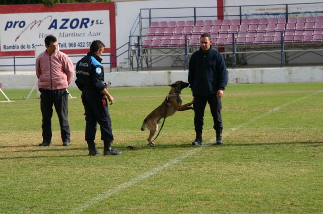 Fotoagrafía relacionada con la noticia, 