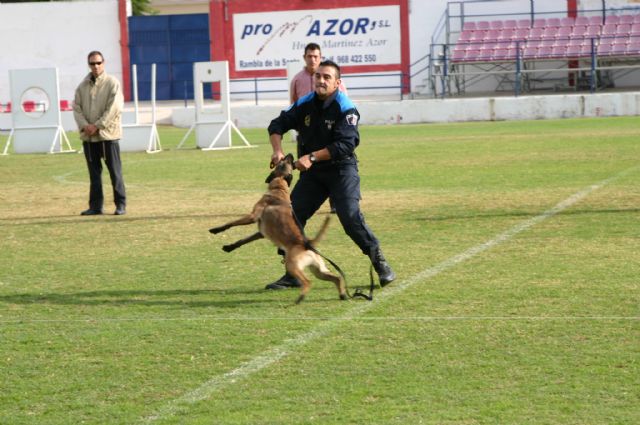 Fotoagrafía relacionada con la noticia, 