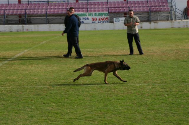 Fotoagrafía relacionada con la noticia, 