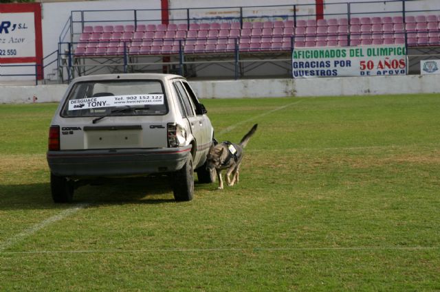 Fotoagrafía relacionada con la noticia, 