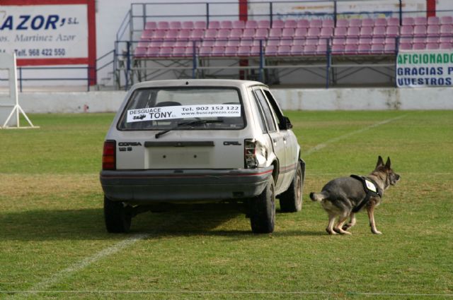 Fotoagrafía relacionada con la noticia, 