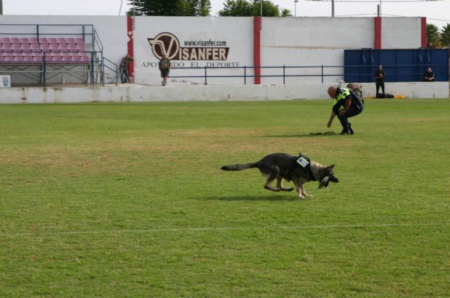Fotoagrafía relacionada con la noticia, 
