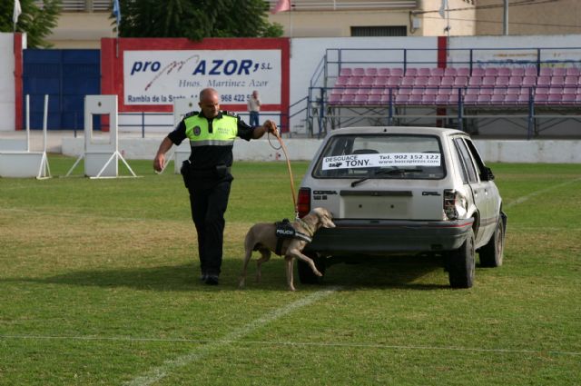 Fotoagrafía relacionada con la noticia, 