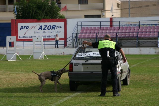 Fotoagrafía relacionada con la noticia, 