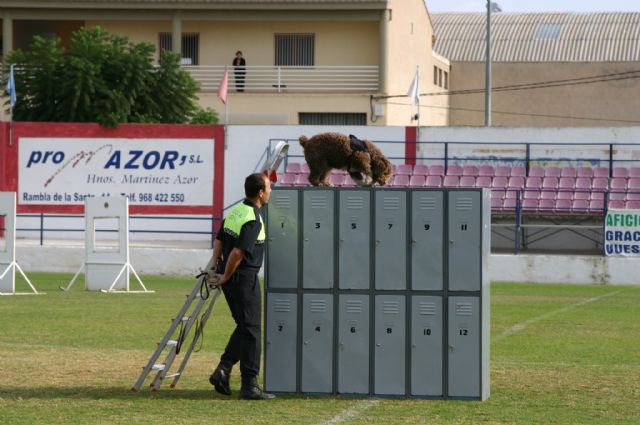 Fotoagrafía relacionada con la noticia, 