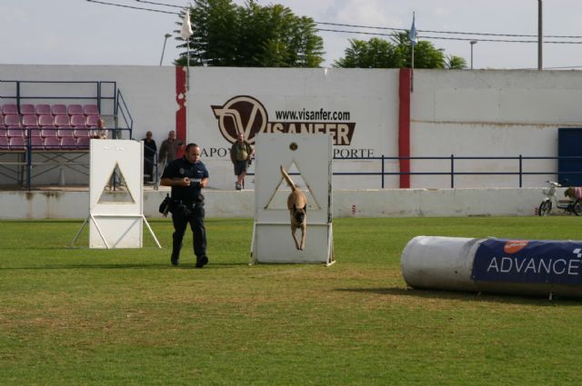 Fotoagrafía relacionada con la noticia, 