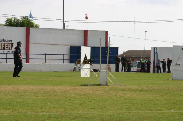 Fotoagrafía relacionada con la noticia, 