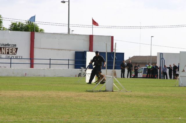 Fotoagrafía relacionada con la noticia, 