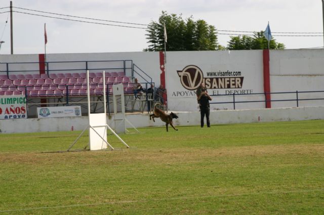 Fotoagrafía relacionada con la noticia, 