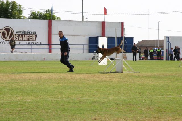 Fotoagrafía relacionada con la noticia, 