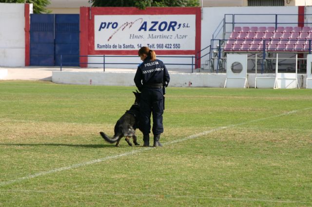 Fotoagrafía relacionada con la noticia, 