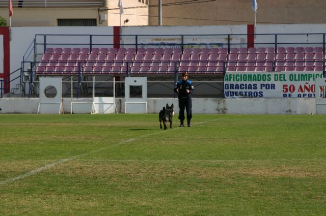 Fotoagrafía relacionada con la noticia, 
