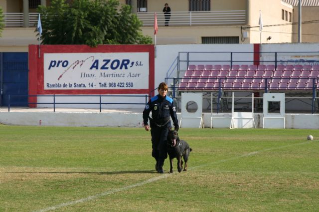 Fotoagrafía relacionada con la noticia, 