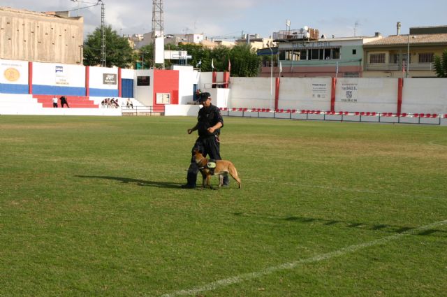 Fotoagrafía relacionada con la noticia, 