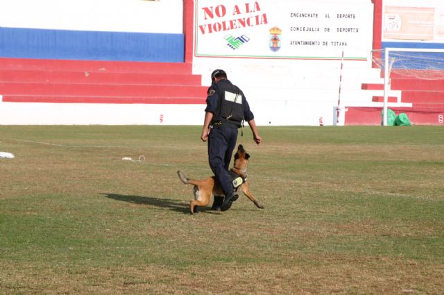 Fotoagrafía relacionada con la noticia, 