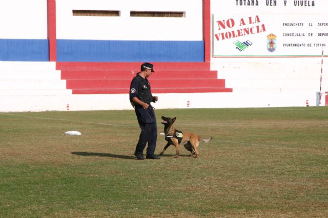 Fotoagrafía relacionada con la noticia, 