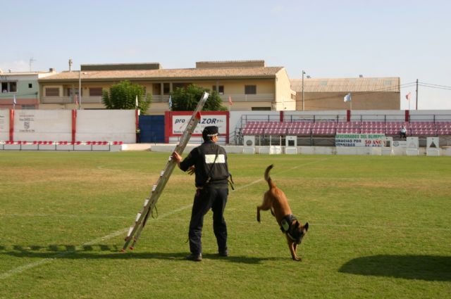Fotoagrafía relacionada con la noticia, 
