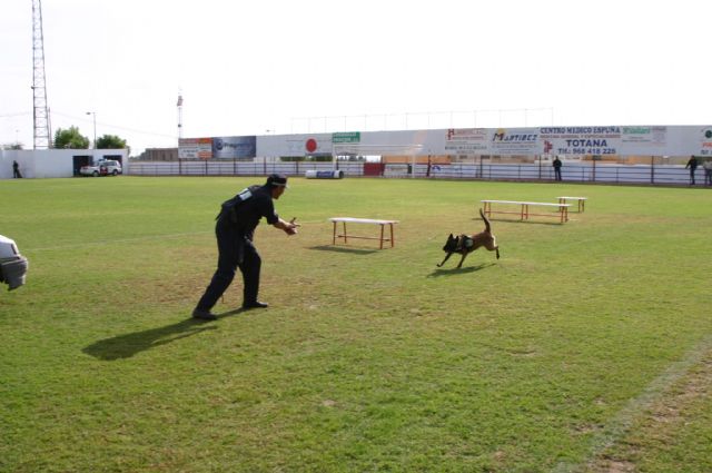 Fotoagrafía relacionada con la noticia, 