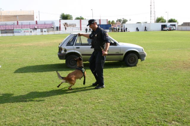 Fotoagrafía relacionada con la noticia, 