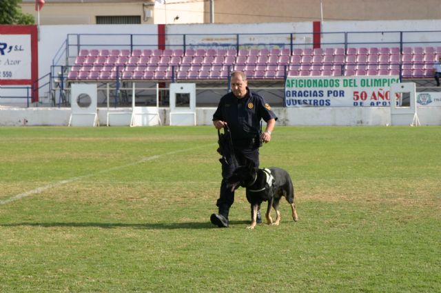 Fotoagrafía relacionada con la noticia, 