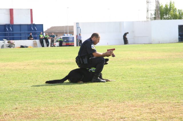 Fotoagrafía relacionada con la noticia, 