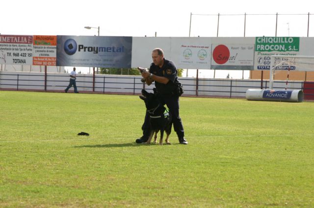 Fotoagrafía relacionada con la noticia, 