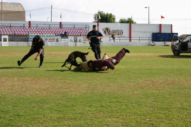 Fotoagrafía relacionada con la noticia, 