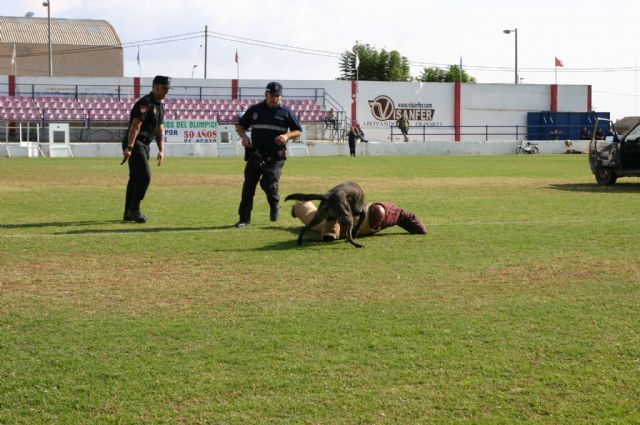 Fotoagrafía relacionada con la noticia, 