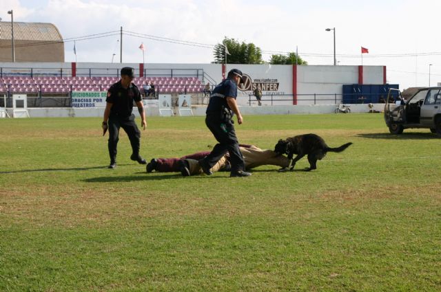 FotoagrafÃ­a relacionada con la noticia, 