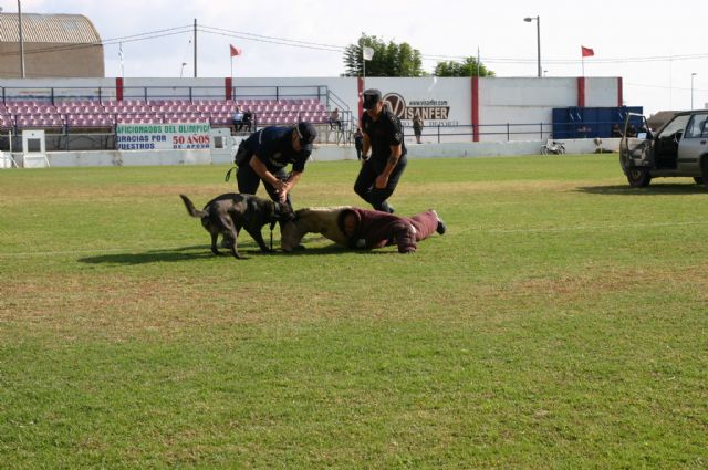 Fotoagrafía relacionada con la noticia, 
