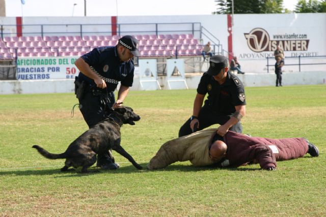 Fotoagrafía relacionada con la noticia, 