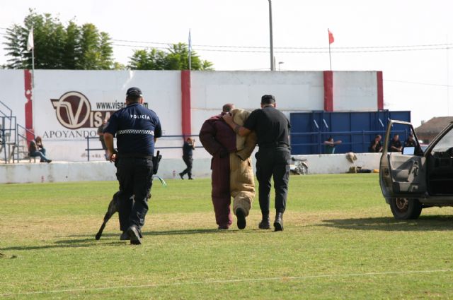 Fotoagrafía relacionada con la noticia, 