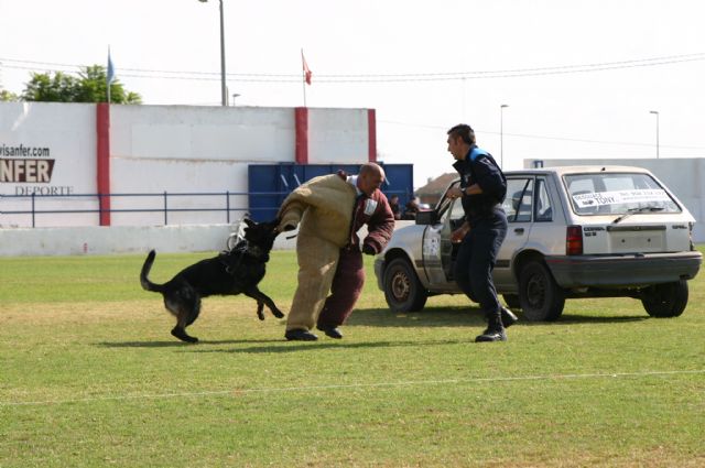 Fotoagrafía relacionada con la noticia, 