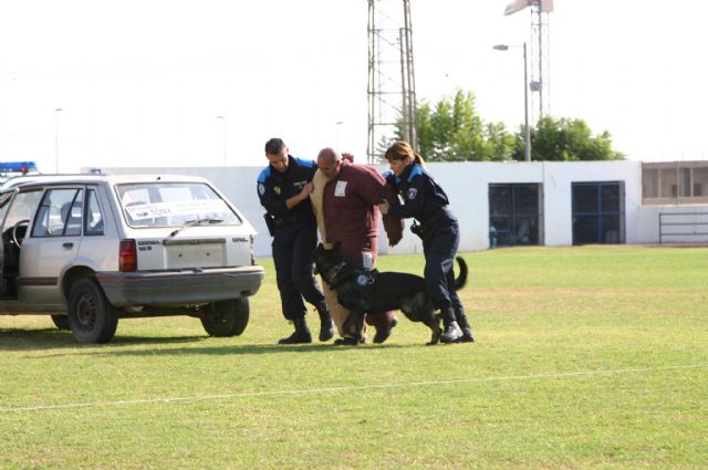 Fotoagrafía relacionada con la noticia, 