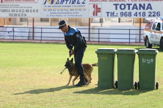 Fotoagrafía relacionada con la noticia, 