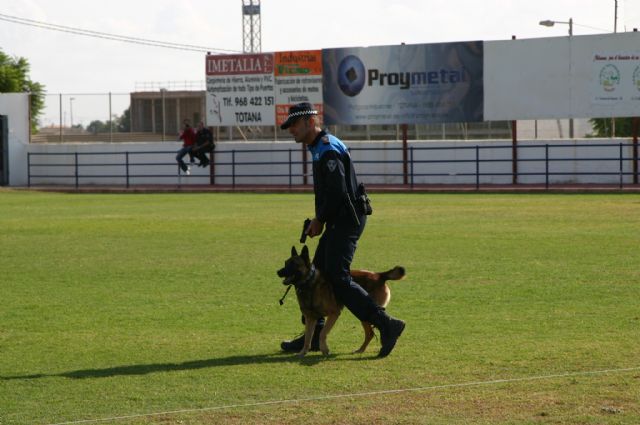 Fotoagrafía relacionada con la noticia, 