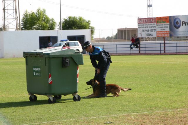 Fotoagrafía relacionada con la noticia, 