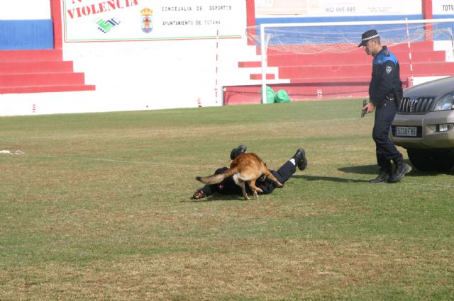 Fotoagrafía relacionada con la noticia, 