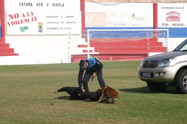 Fotoagrafía relacionada con la noticia, 