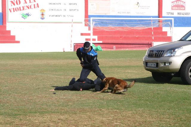 Fotoagrafía relacionada con la noticia, 