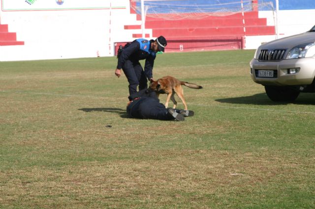 Fotoagrafía relacionada con la noticia, 