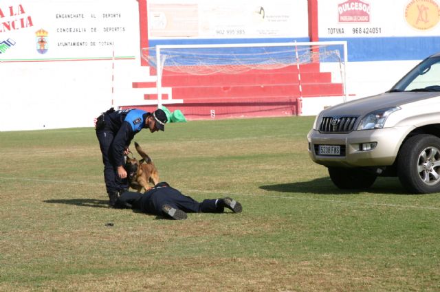 Fotoagrafía relacionada con la noticia, 